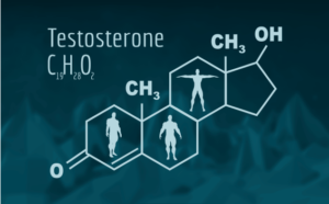 testosterone
