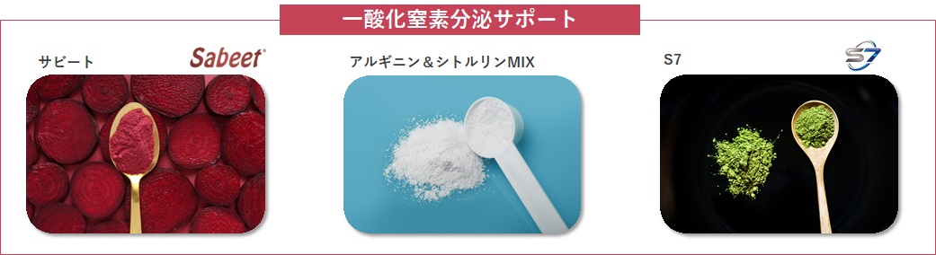一酸化窒素分泌サポート